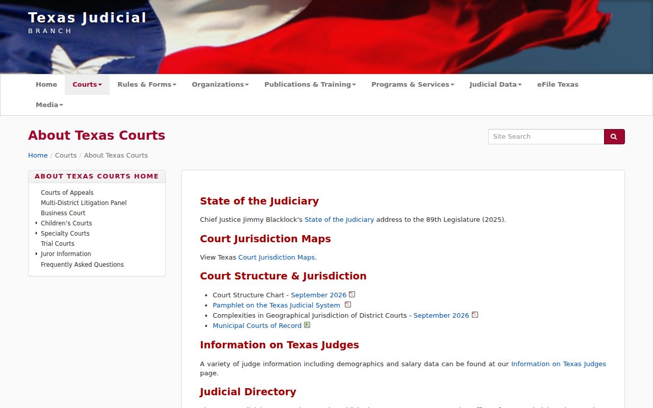 Newton County active warrant records: Texas courts structure overview